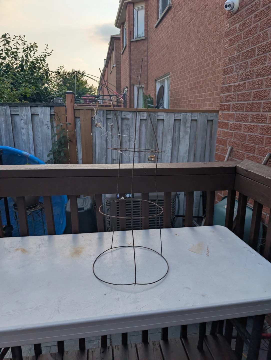 Wire Plant Support Cage $2 each I have 8