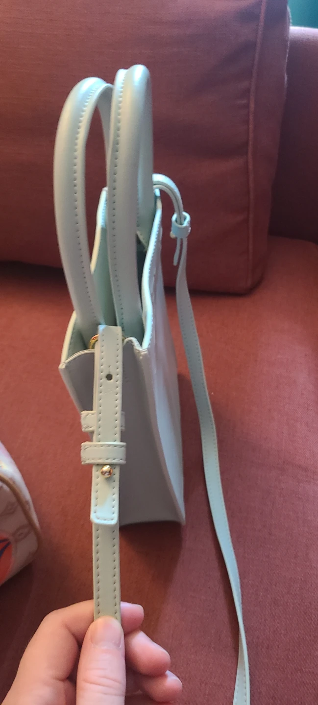 Mini Tote Bag