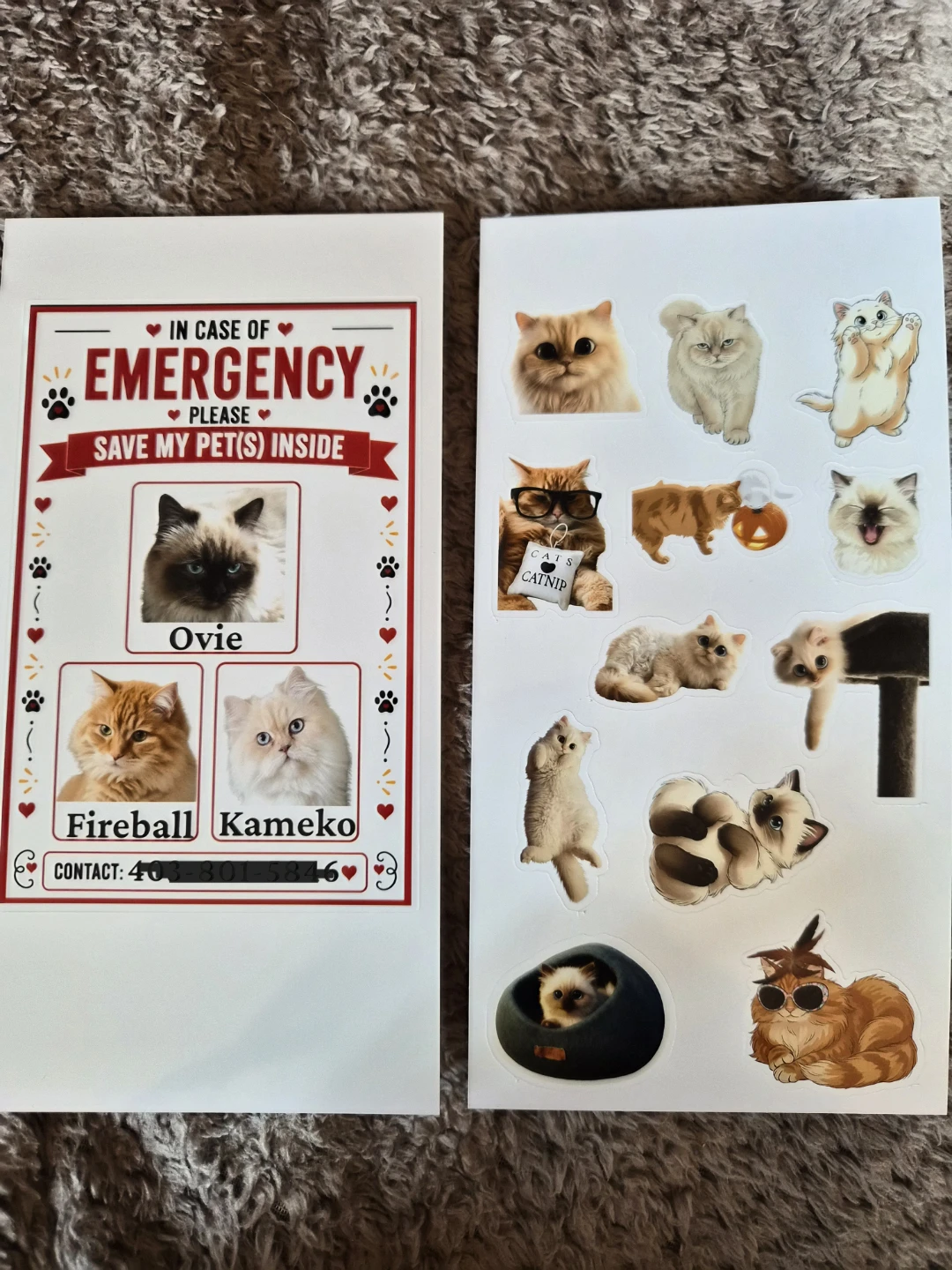 *PERSONALIZED - In Case of Emergency Pet Sign - photo 4