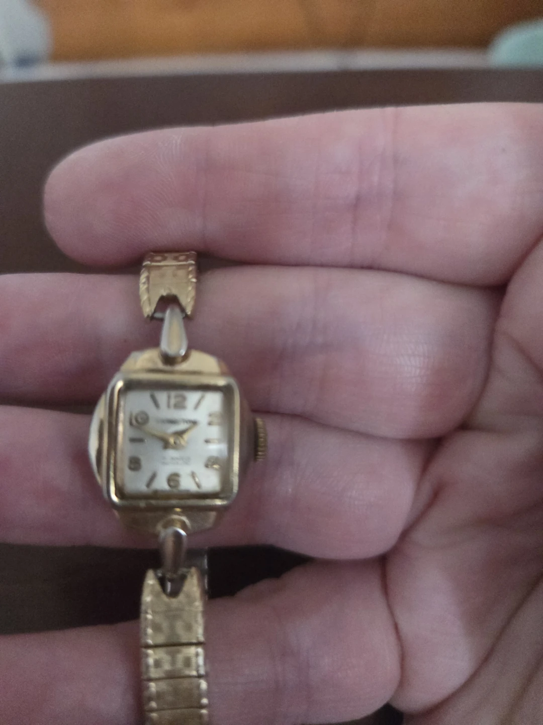 Livingstone Ladies Watch - 17 Jewels Swiss Made