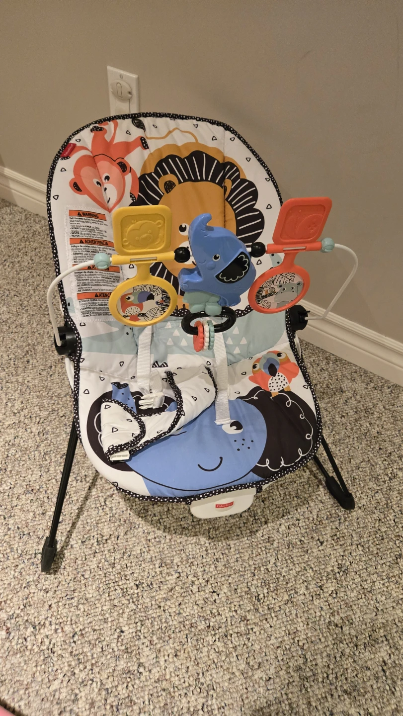 Fisher-Price Baby Bouncer Seat