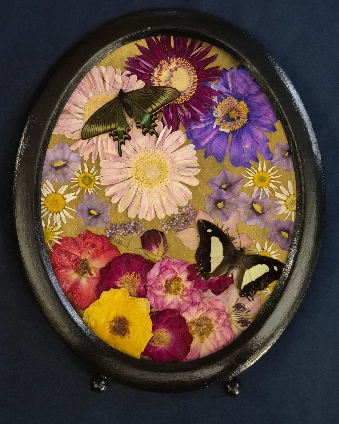 Chinese Peacock and Common Nawab in metal MCM frame - photo 3