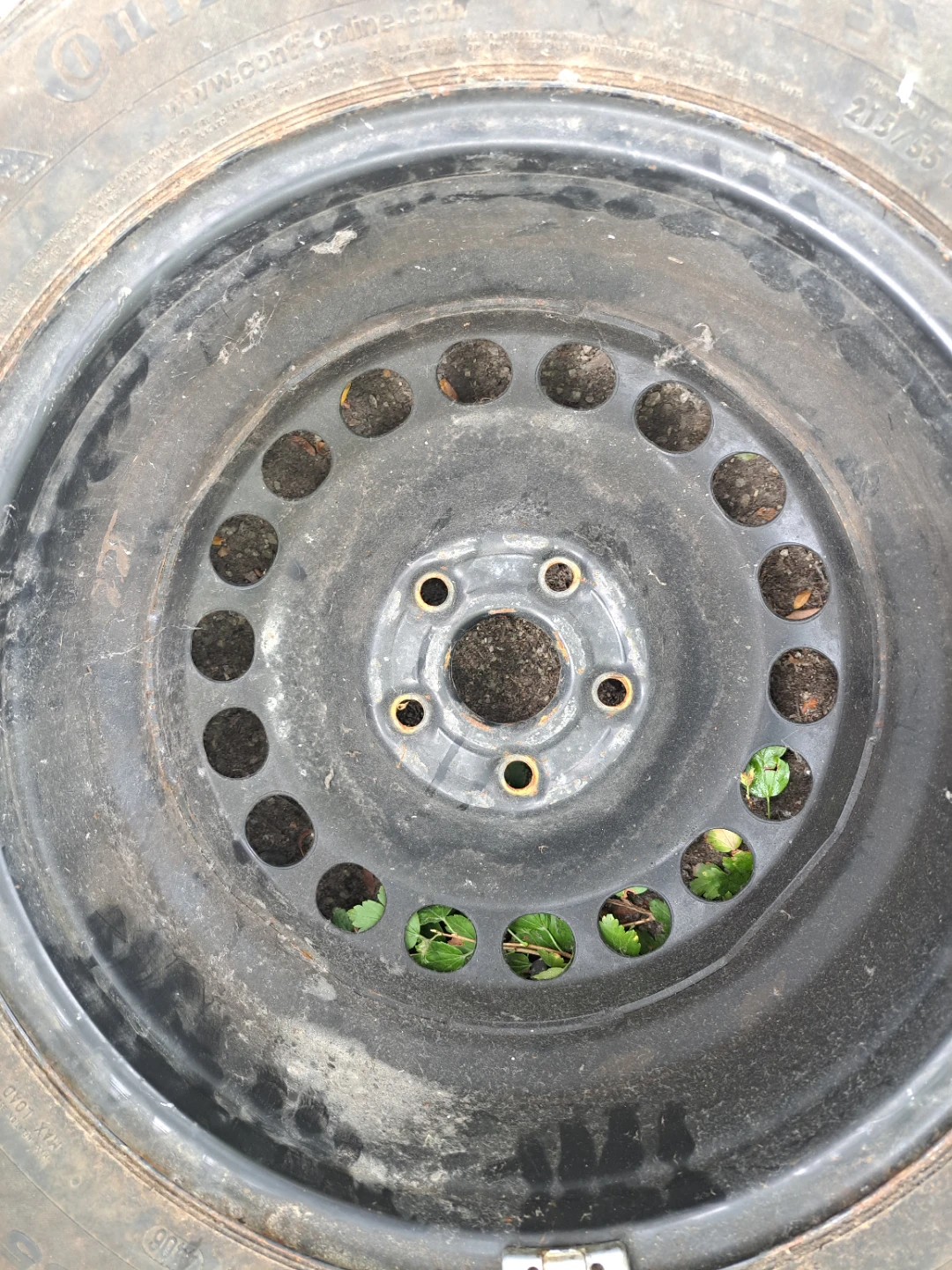 Continental Tire 215/55 R16 - photo 2