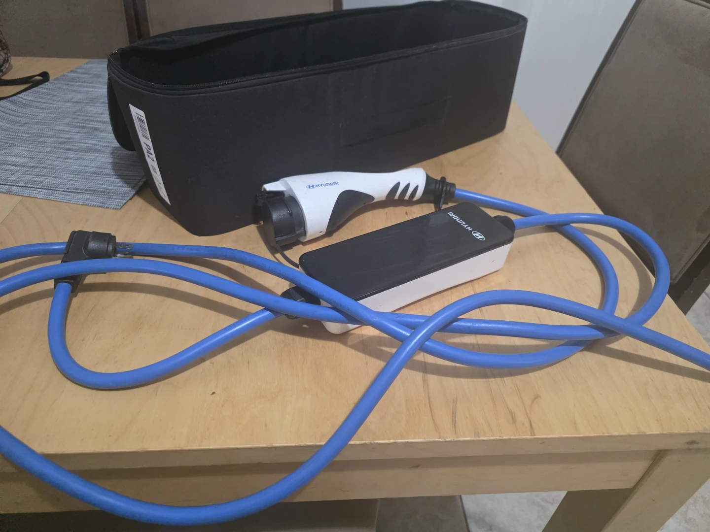 Electric  charger