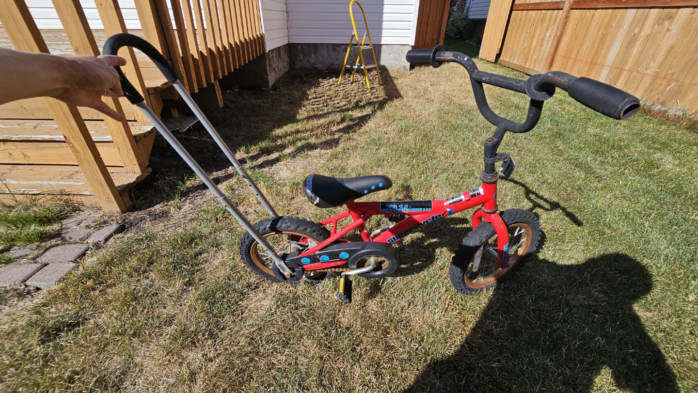 Handled Training Bicycle - photo 2