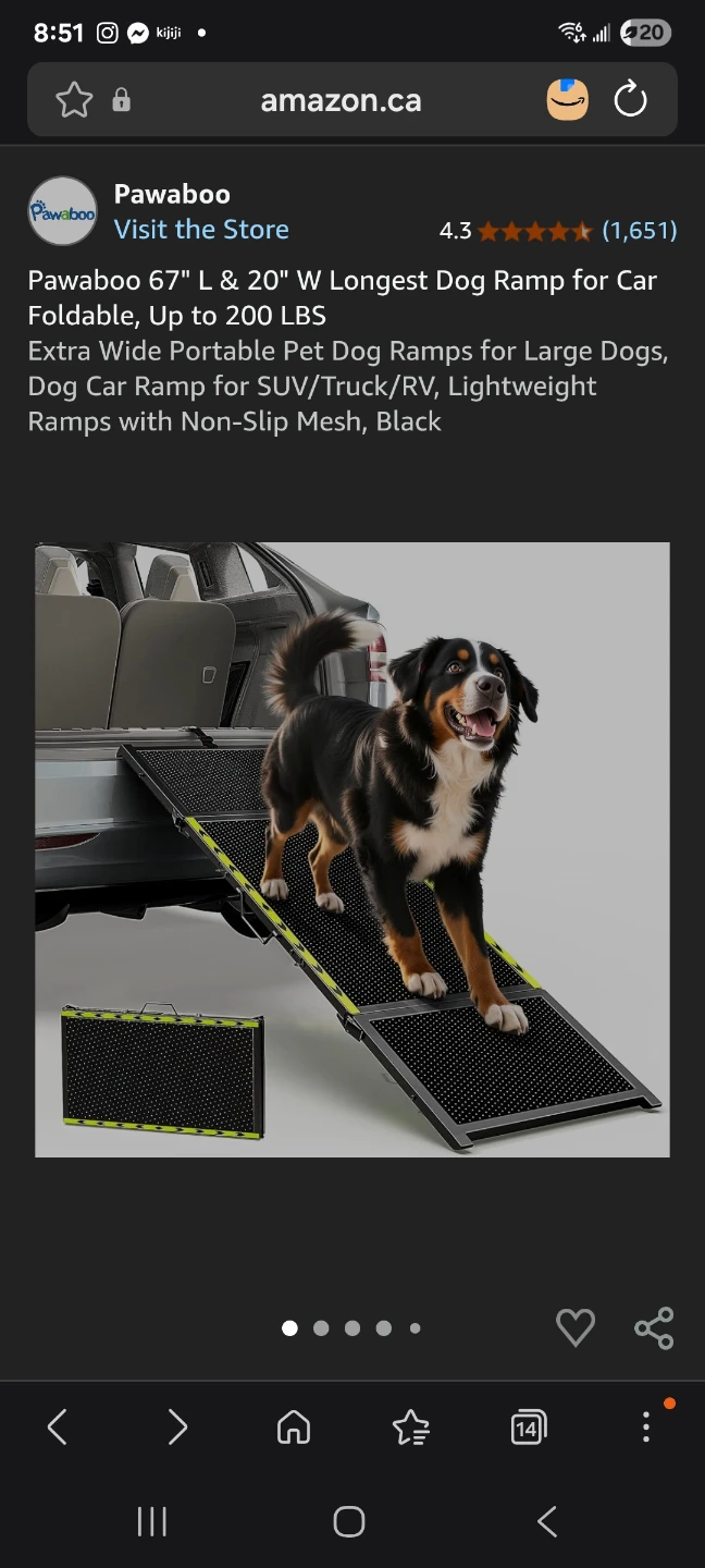 Pawaboo 67" L & 20" W Longest Dog Ramp for Car Foldable,