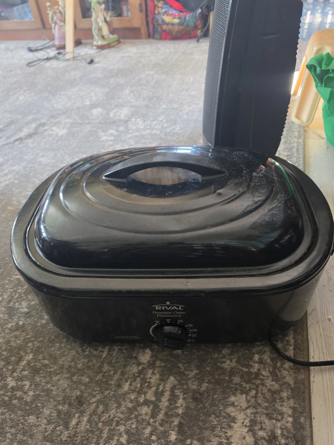 Large roaster electrick