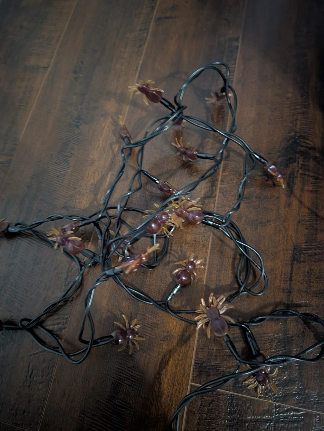Halloween Spider String Lights - photo 2