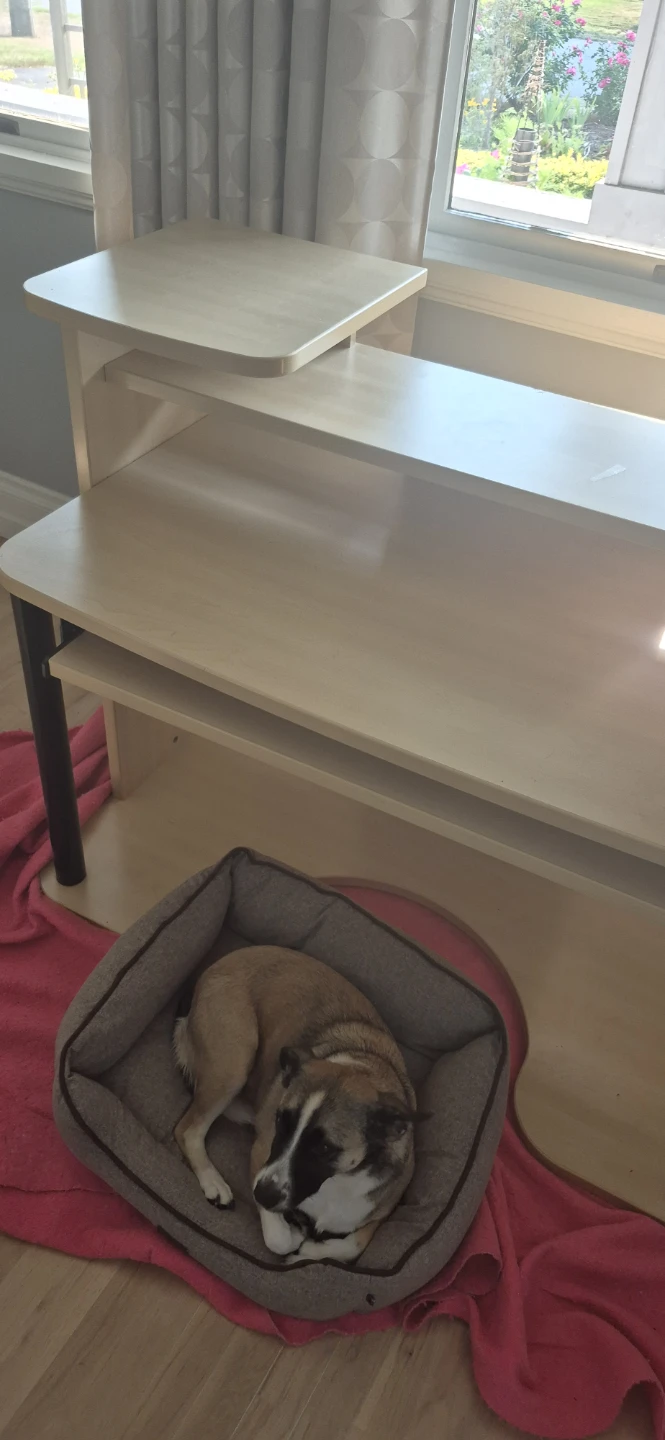 Light Wood Computer Desk with Shelves - photo 3
