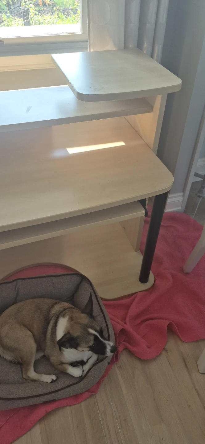 Light Wood Computer Desk with Shelves - photo 4