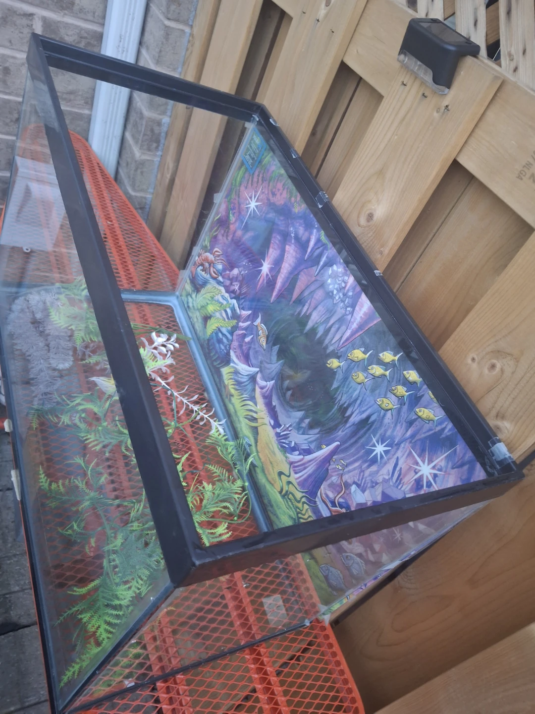 Glass Aquarium Tank - photo 2