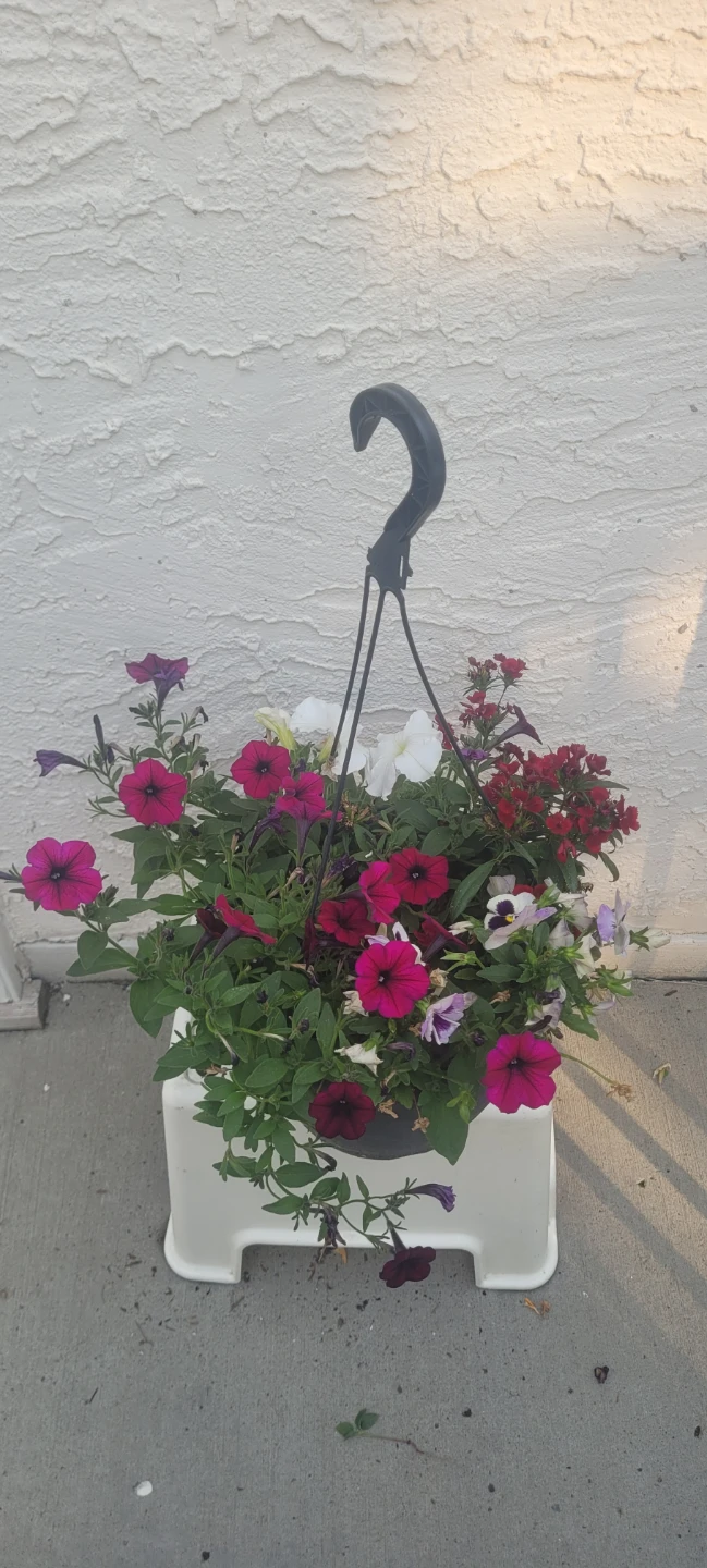 Hanging flower pot