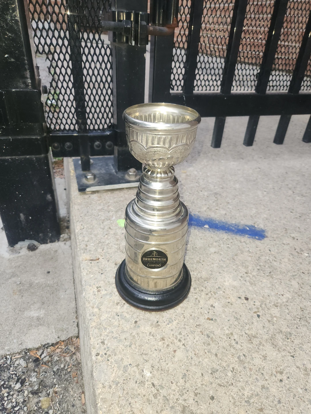 True North Hockey League Champions Trophy - photo 3
