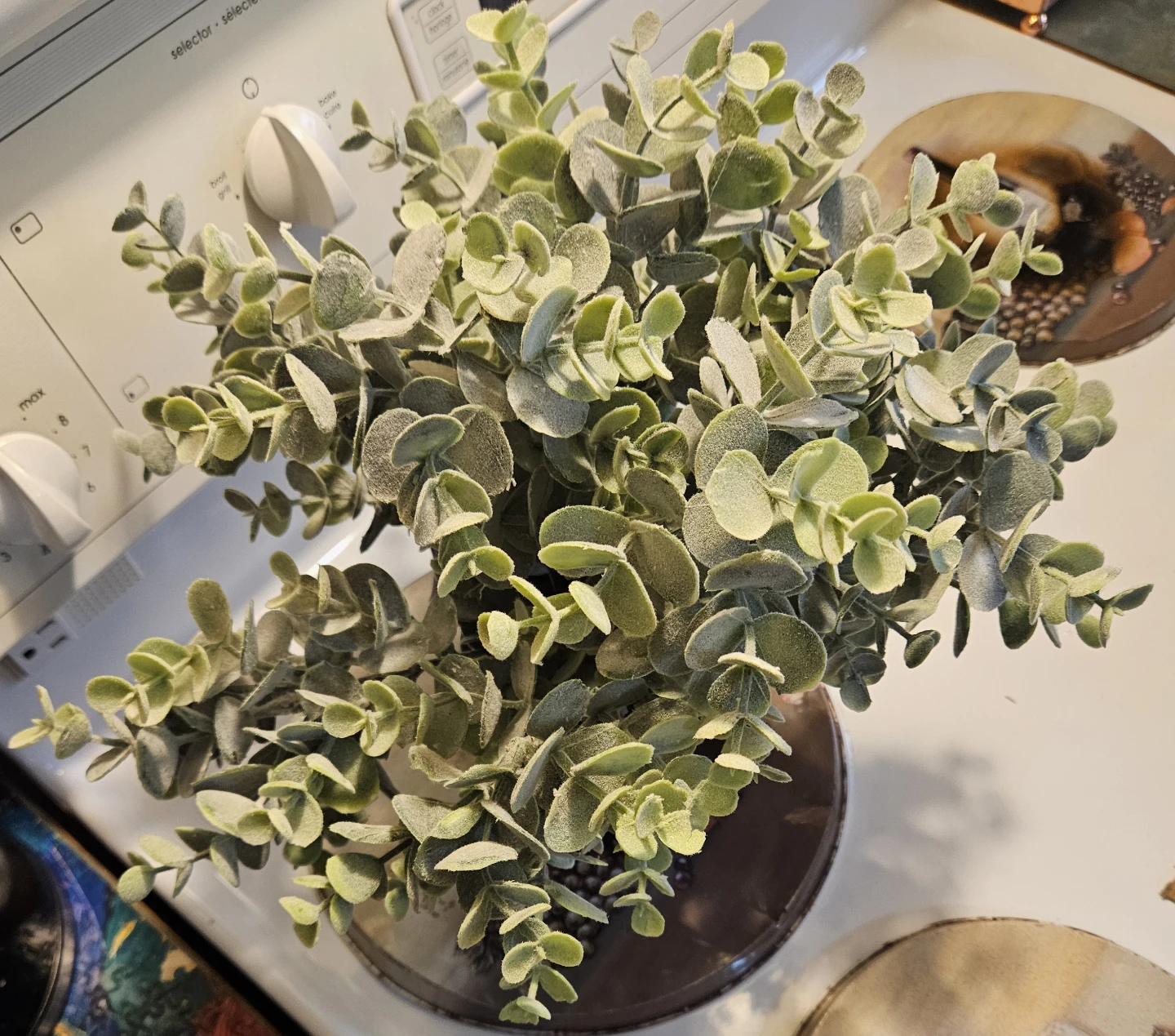 Artificial Eucalyptus Plant in Pot