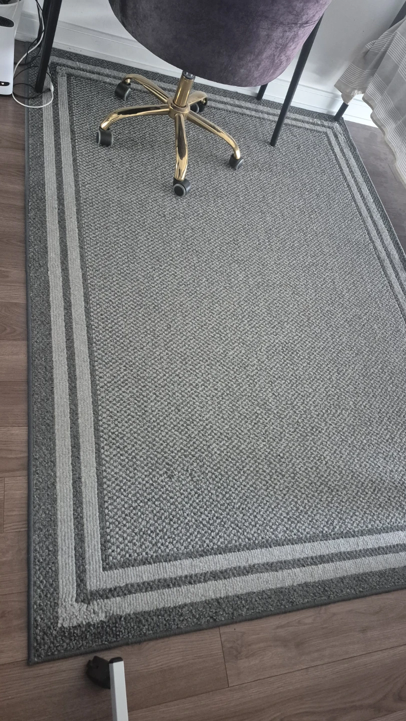 Grey Accent Rug with Double Border In Very Good Condition - photo 2