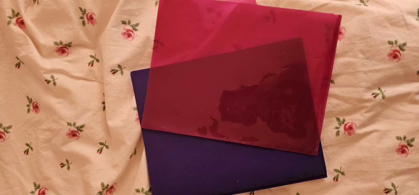 Duotang and Folder (all for $5)