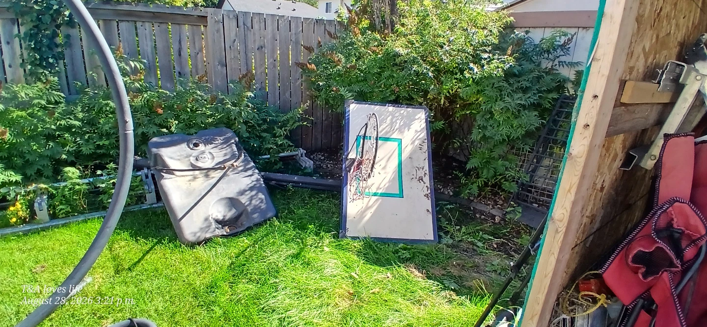 Basketball Hoop Backboard and Base