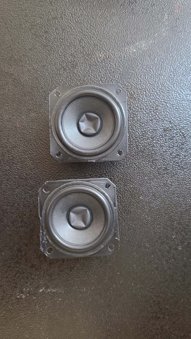 Pair of speaker drivers