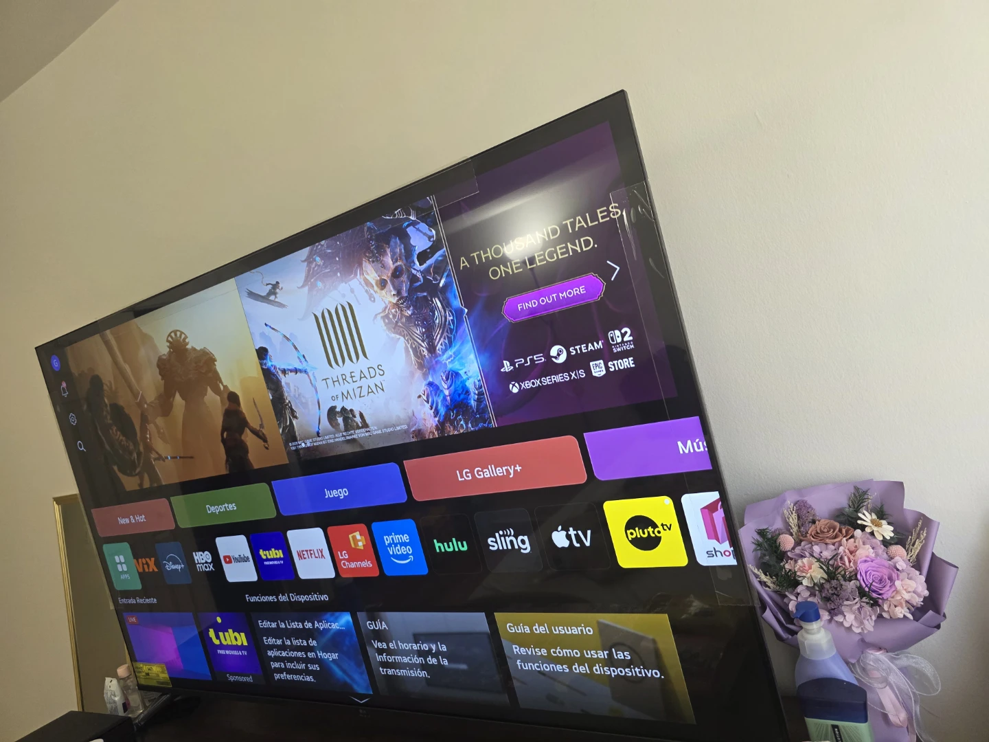 LG Smart TV 65"