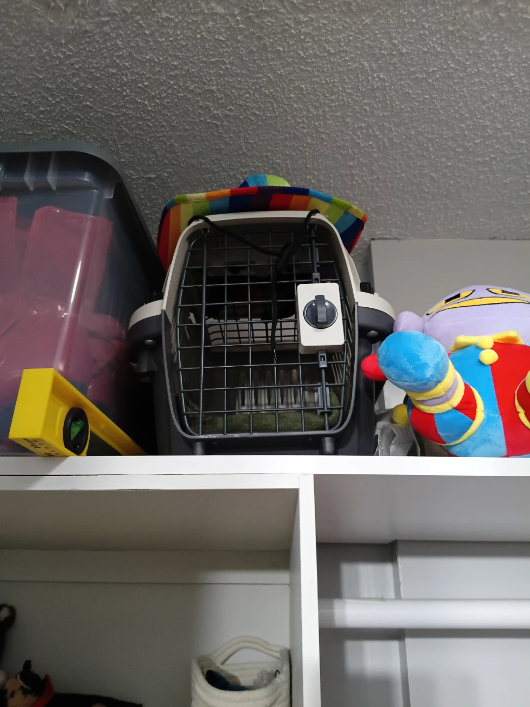 Cat carrier