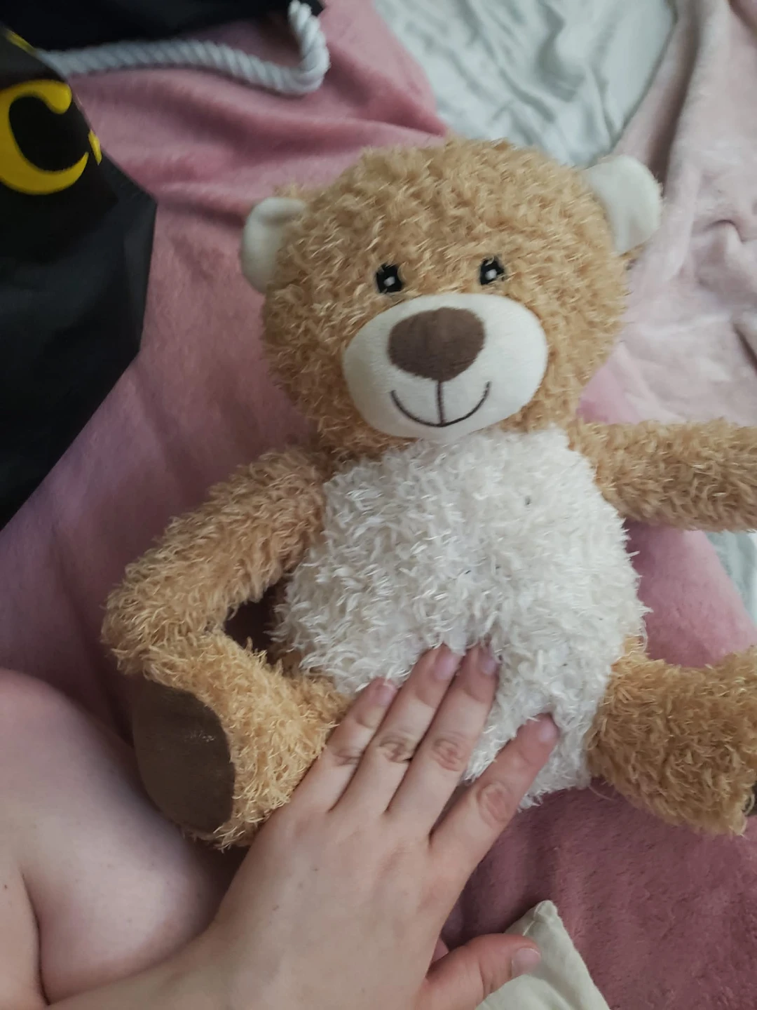 Teddy Bear Plush Toy