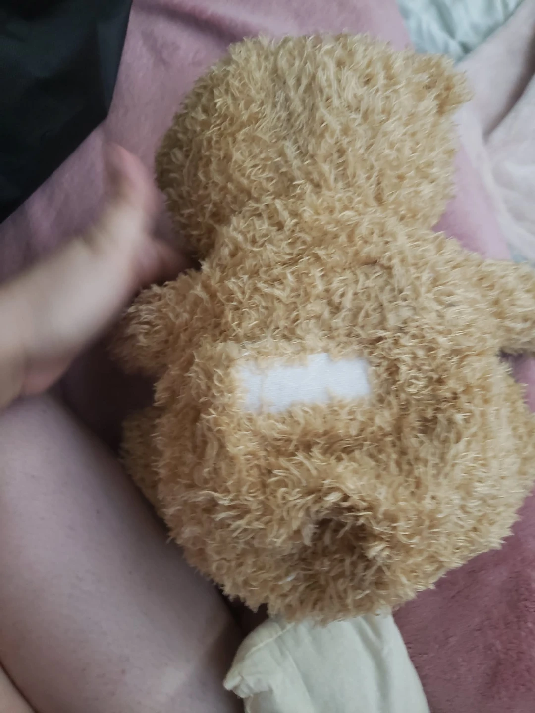 Teddy Bear Plush Toy - photo 2