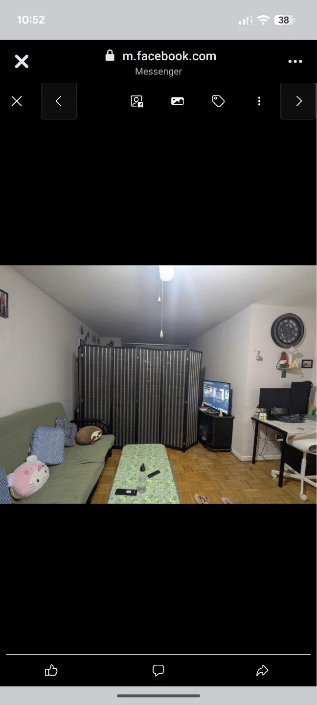 Den / Living Room for rent (2 months only) - photo 2