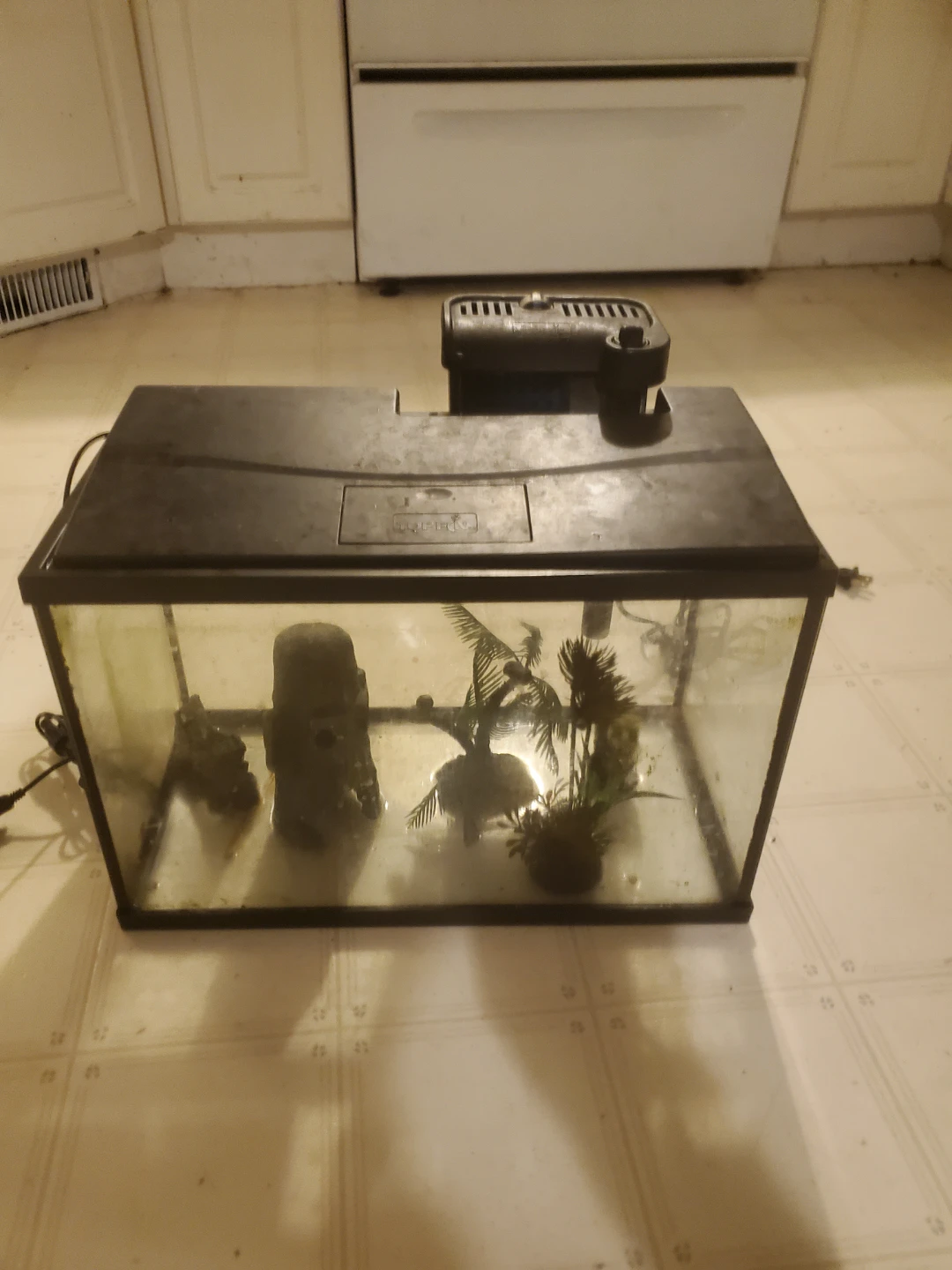 10 gallon fish tank with filter - photo 2