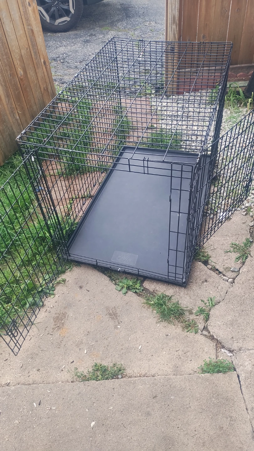 Black Wire Dog Crate with Tray - photo 4