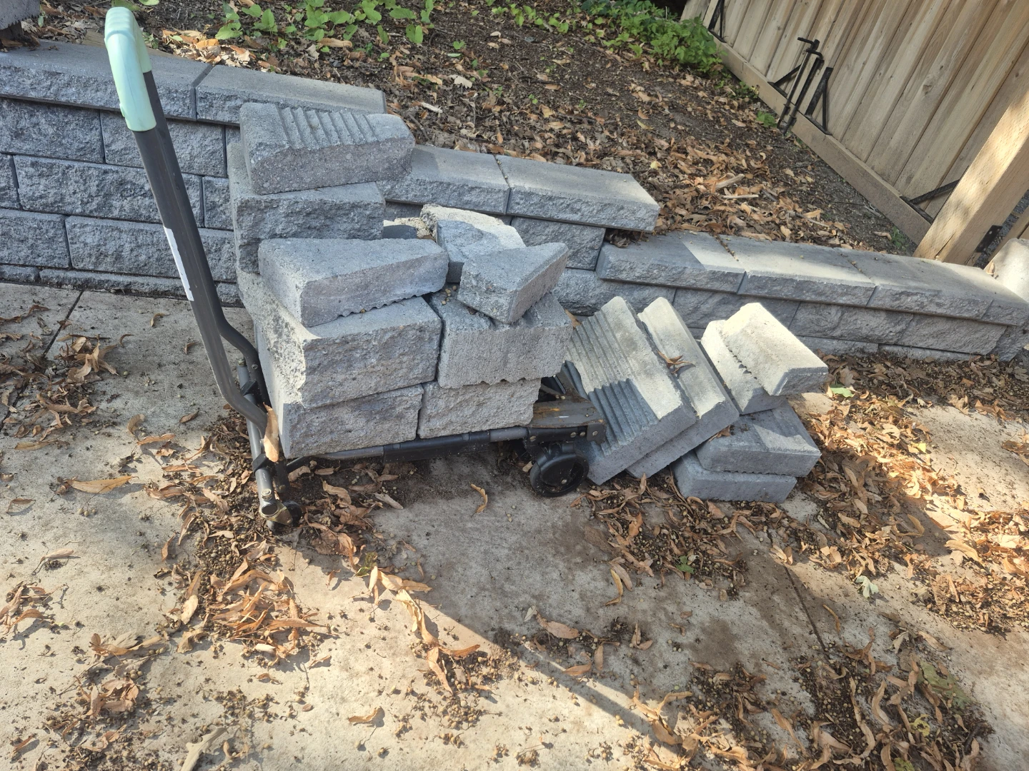 Dolly and intertwined bricks