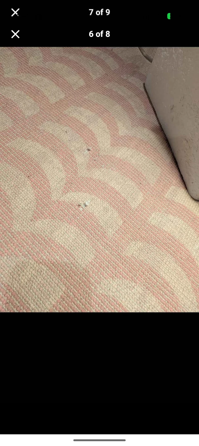 Revival brand ripple rug 9x12 - photo 4