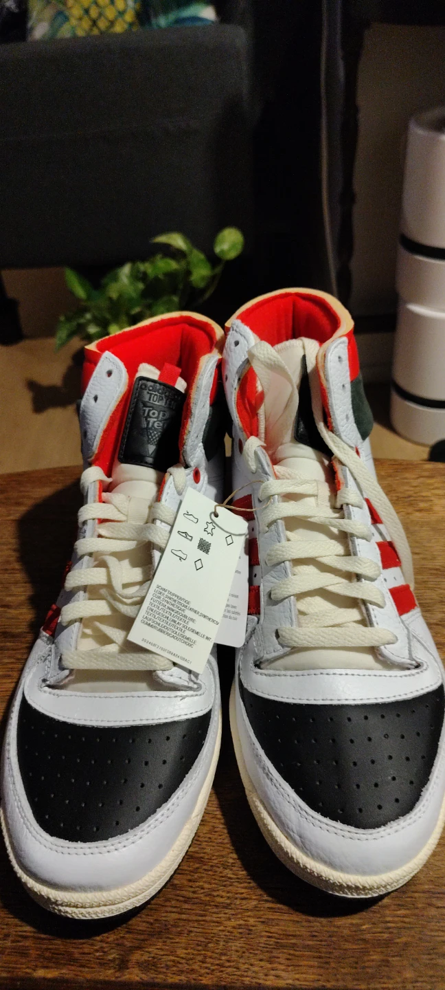 Adidas Top Ten High Top Sneakers