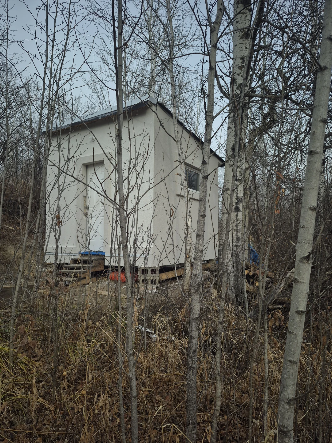 Shed/Small Structure - photo 3