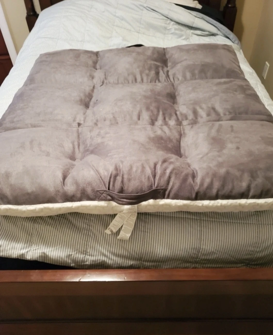 Kirkland Signature Pet Bed