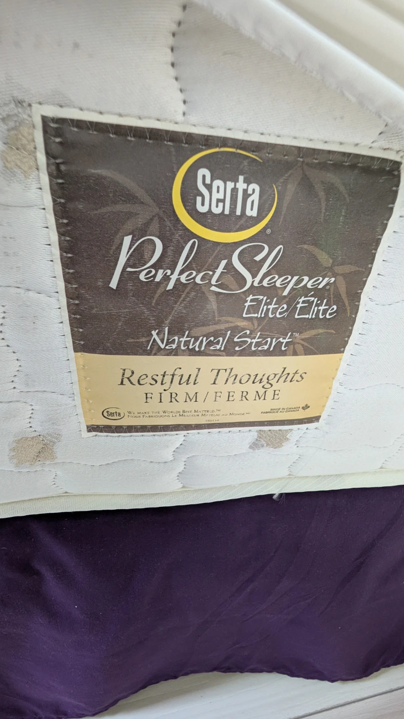 Queen Mattress, box spring, stand for sale - Serta Firm Mattress - photo 2