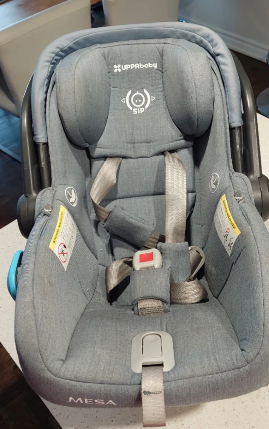 UPPAbaby MESA Infant Car Seat - photo 2