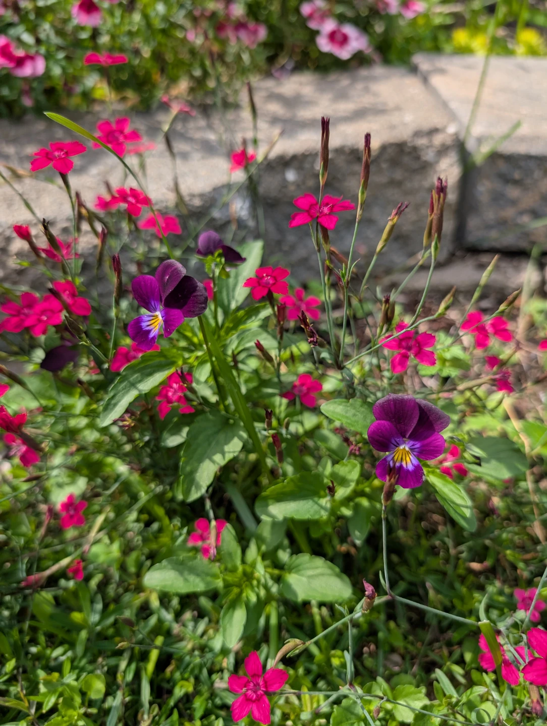 Gardening Services