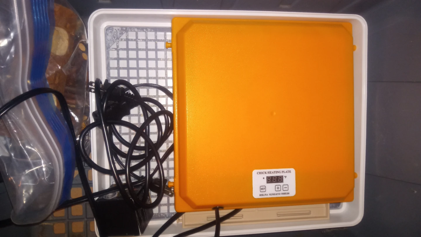 Chick Heating Plate - Customizable Temperature - photo 2