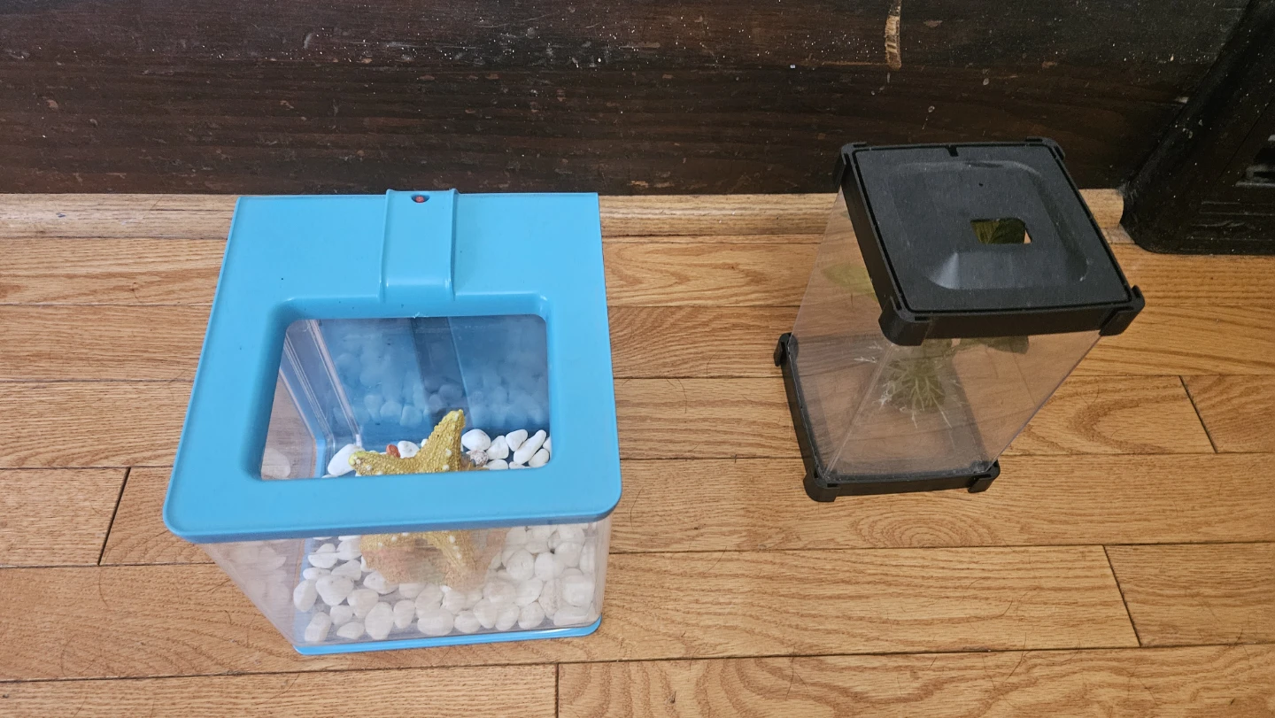 2 betta tanks - photo 2