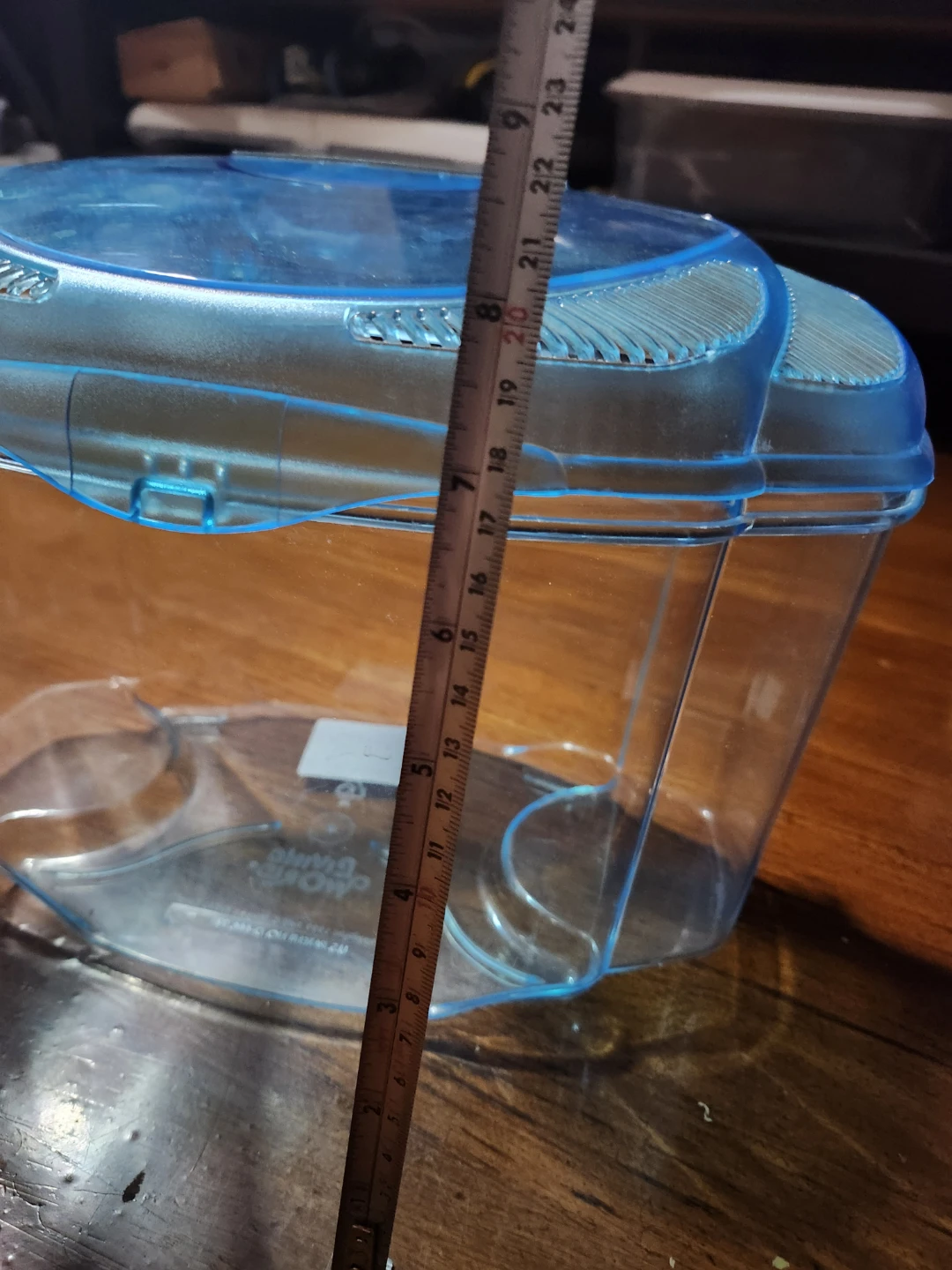 Fish Tank / Terrarium (11 inch wide by 8 in high) - photo 5
