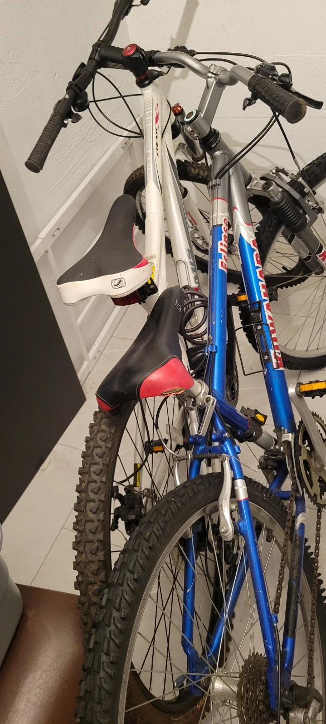 Blue Mountain Bike