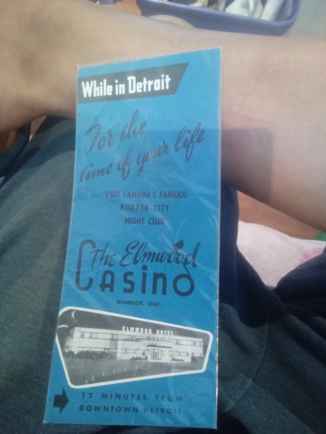 The Elmwood Casino Brochure