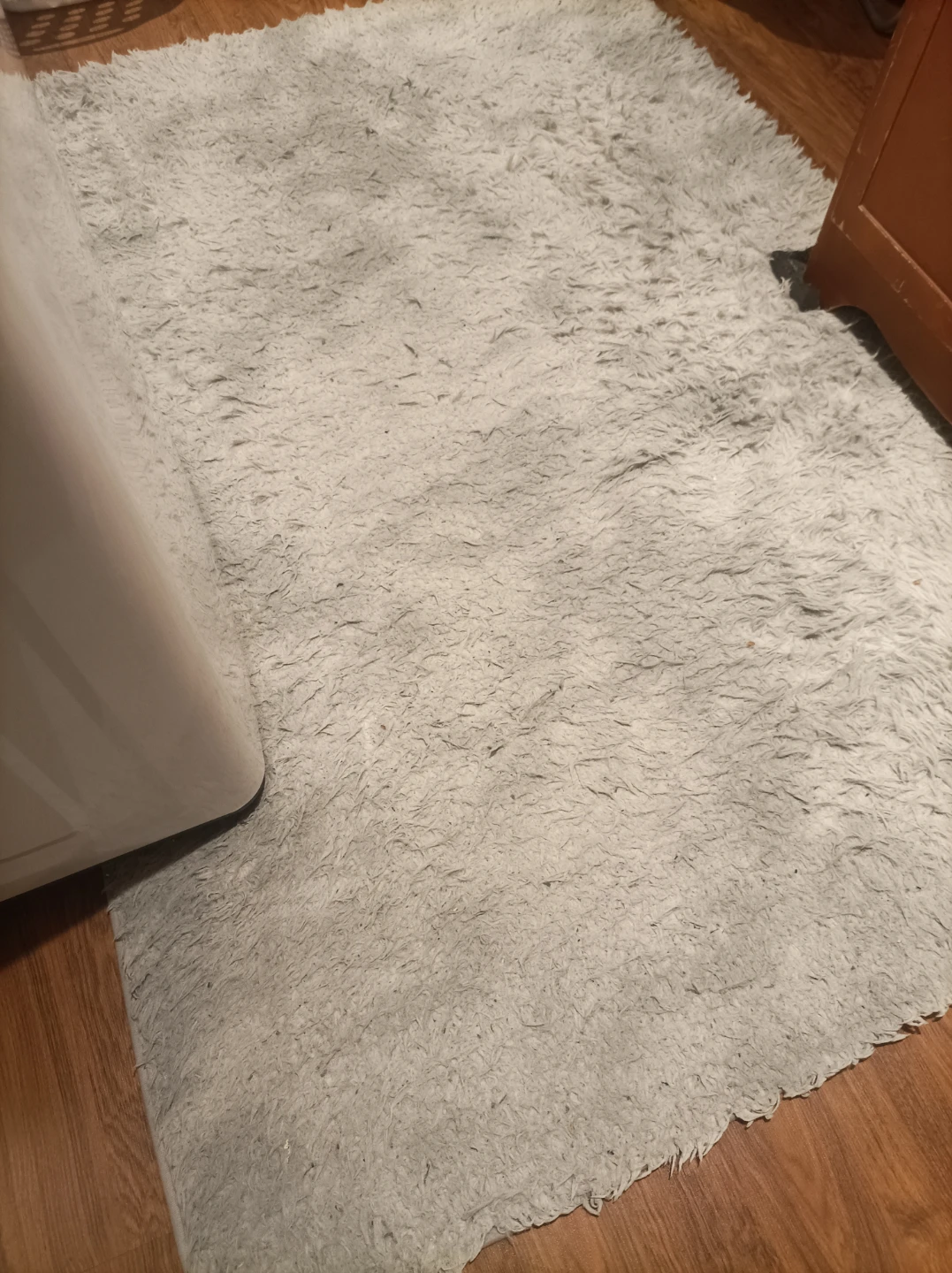 Shag Rug