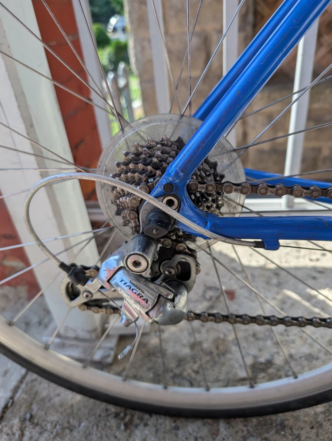 Specialized Dolce Road Bike- - photo 5