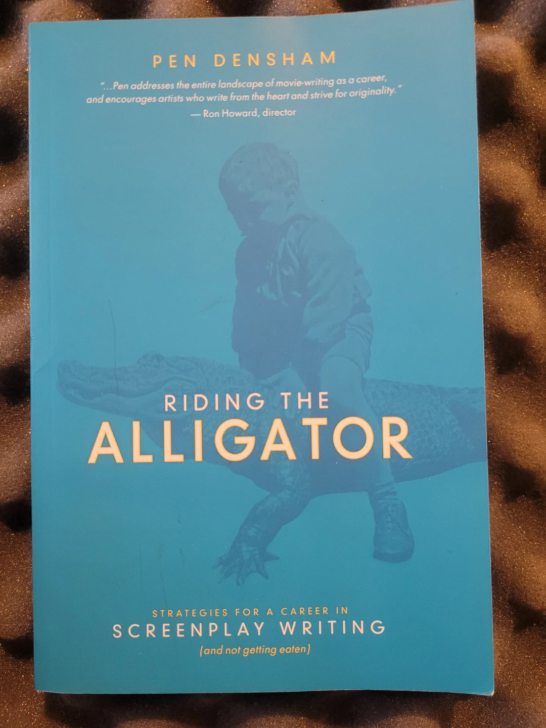 Riding the Alligator Strategies for a Career in Screenplay