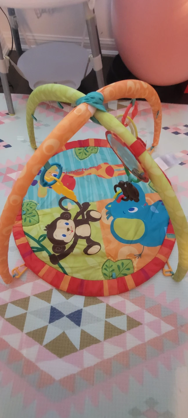 Baby Gym Playmat