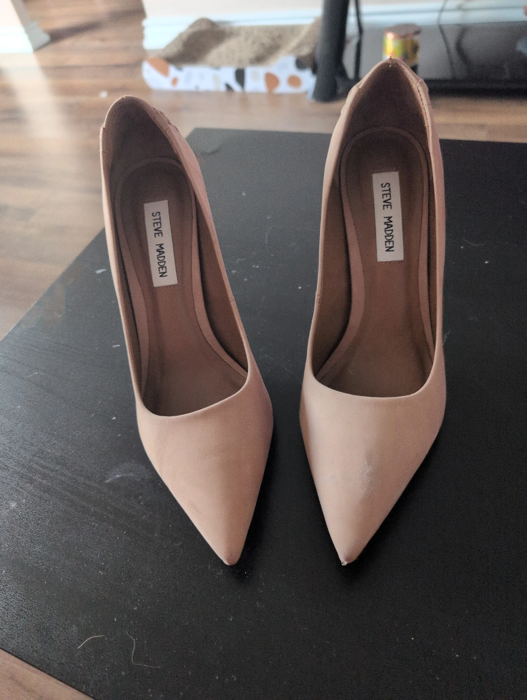 Steve Madden Women's Heels