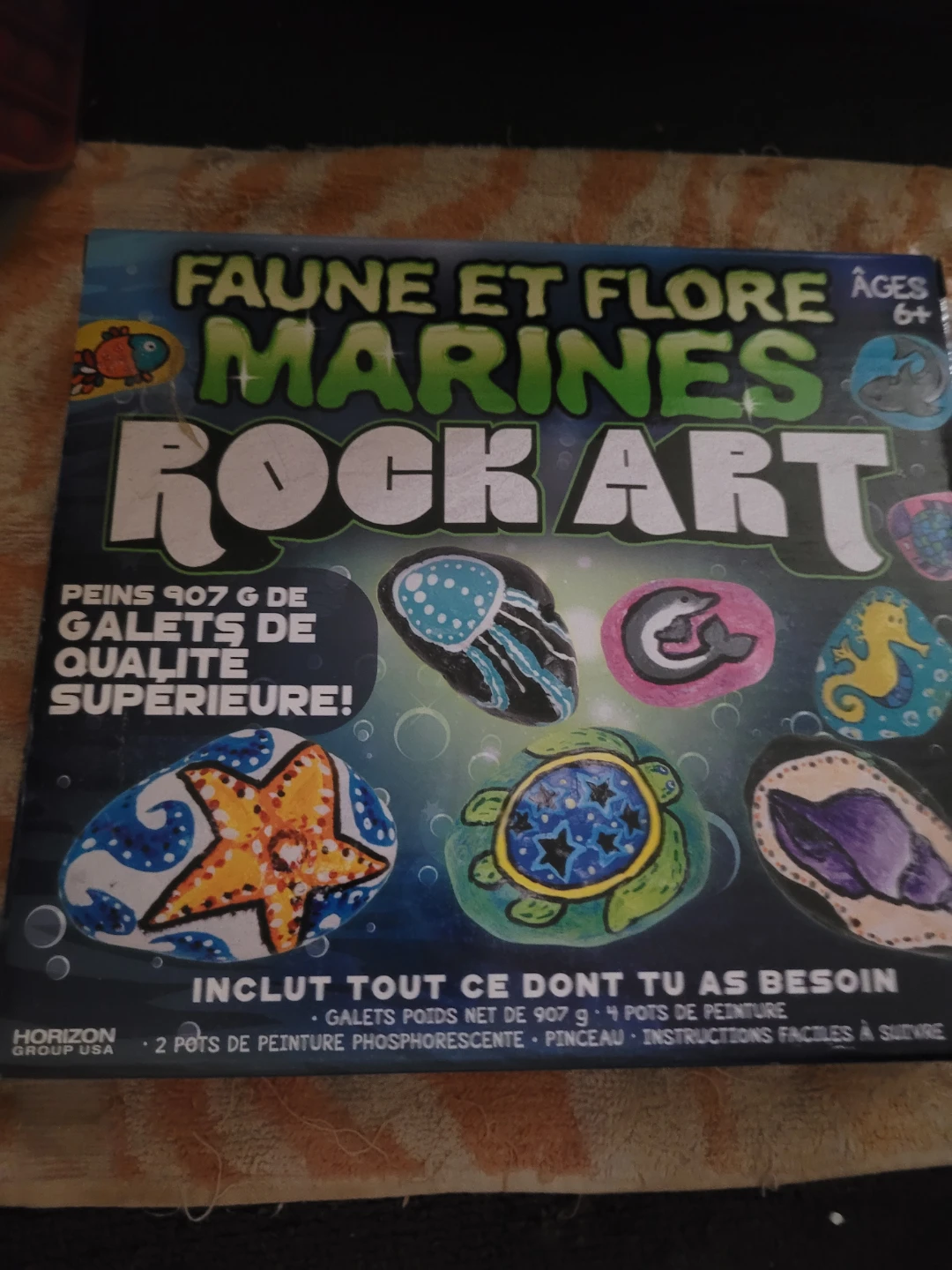 Marines rock art craft kit