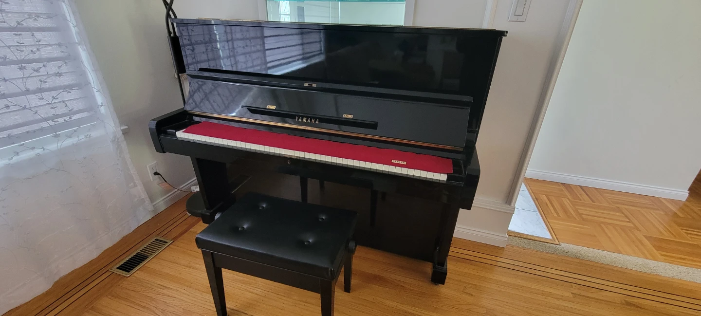 Piano - photo 4