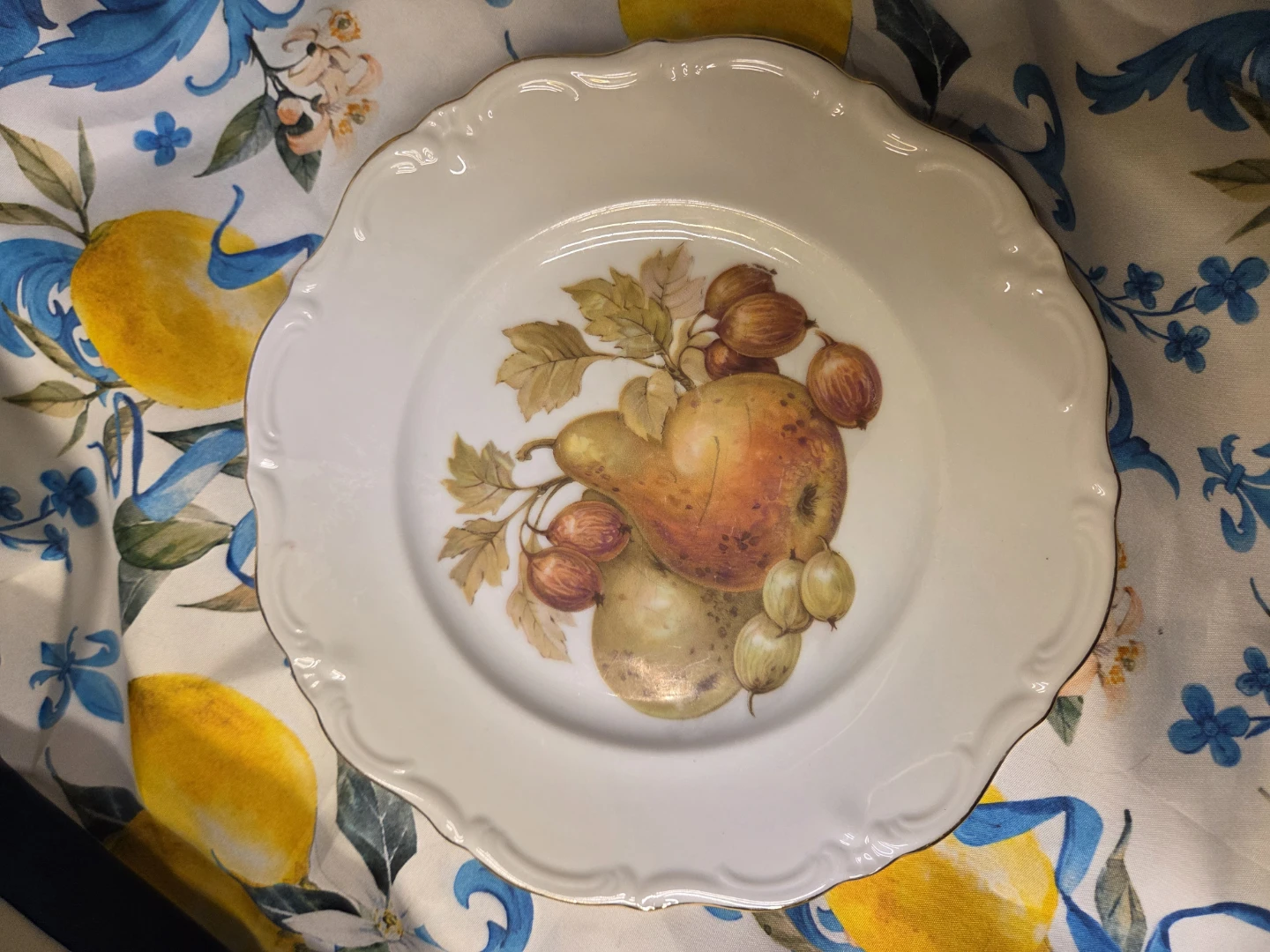 Winterling Roslau Porcelain Plate set of 3 - Fruit Design - photo 4